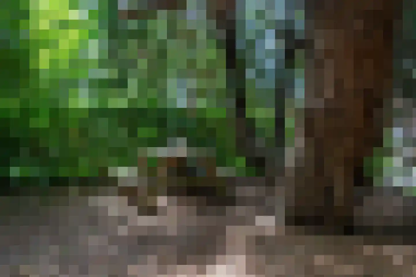 Broekhem 123 Valkenburg thumbnail 46