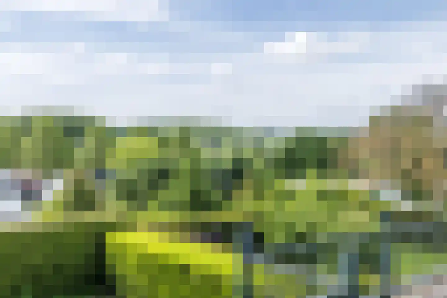 Broekhem 127 Valkenburg thumbnail 41