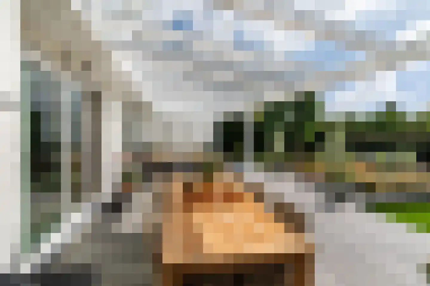 Broekhem 129 Valkenburg thumbnail 37