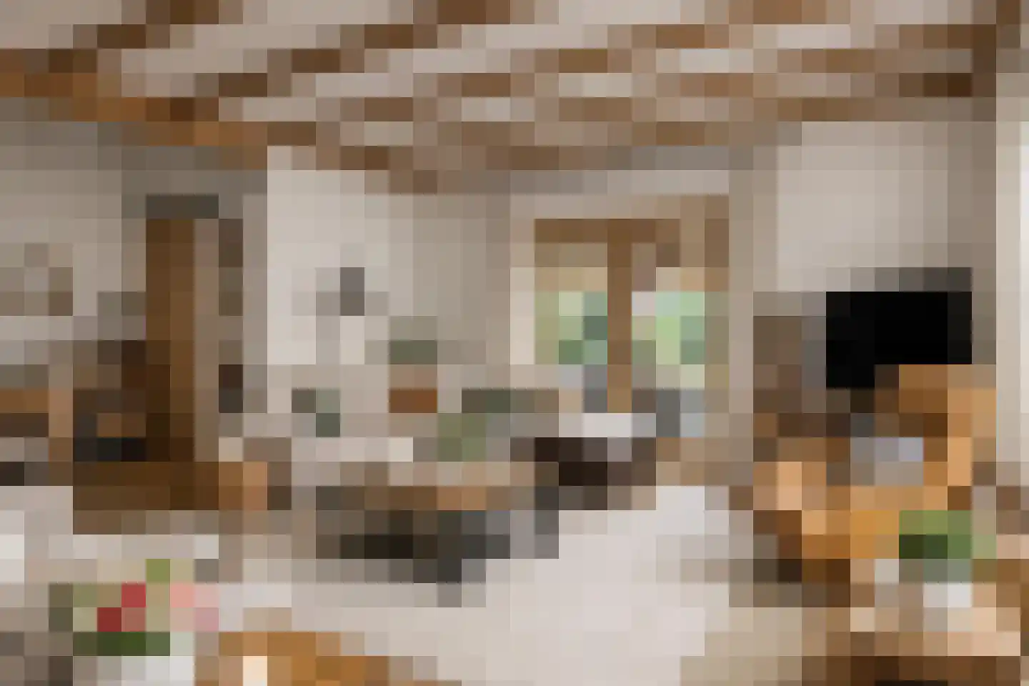 Broekhem 77 Valkenburg thumbnail 13