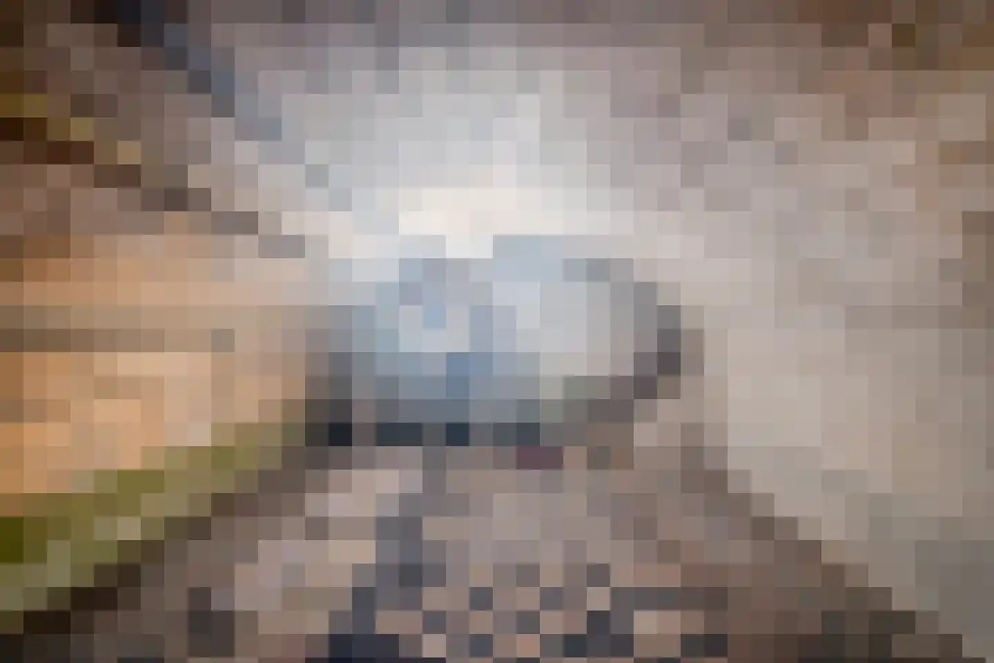 Broekhem 77 Valkenburg thumbnail 35