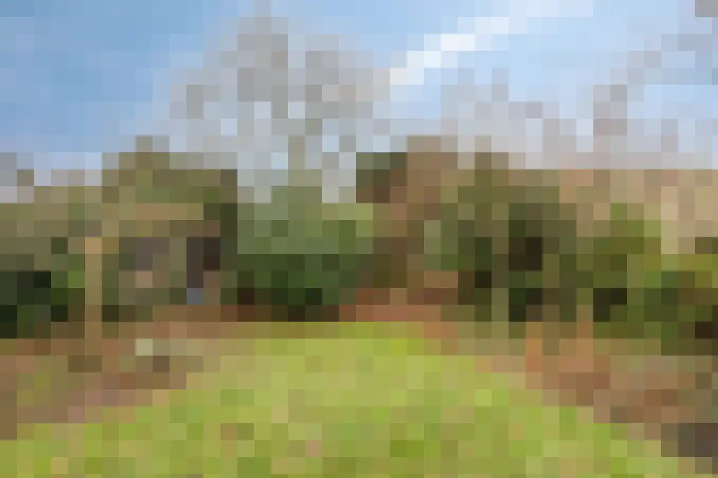 Broekhem 77 Valkenburg thumbnail 37