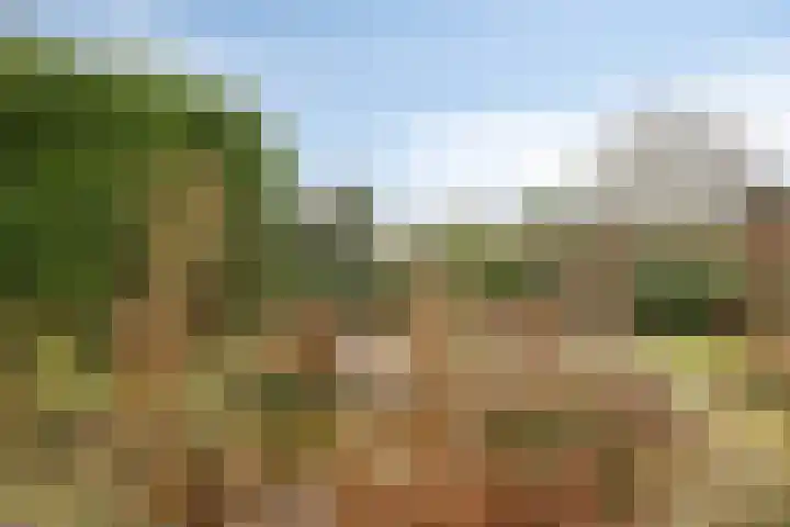 Broekhem 77 Valkenburg thumbnail 38
