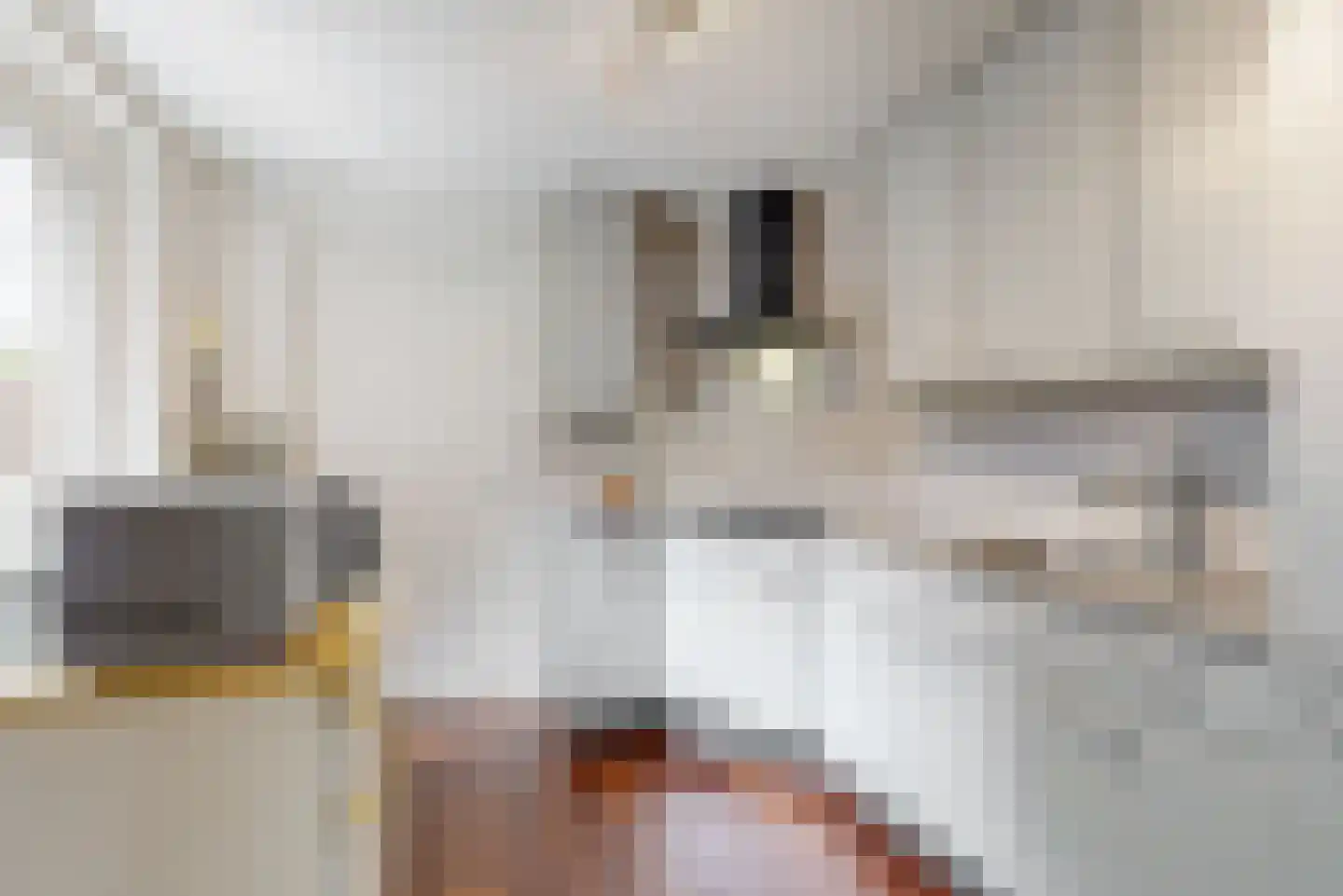 Broekhin Noord 19 Roermond thumbnail 8