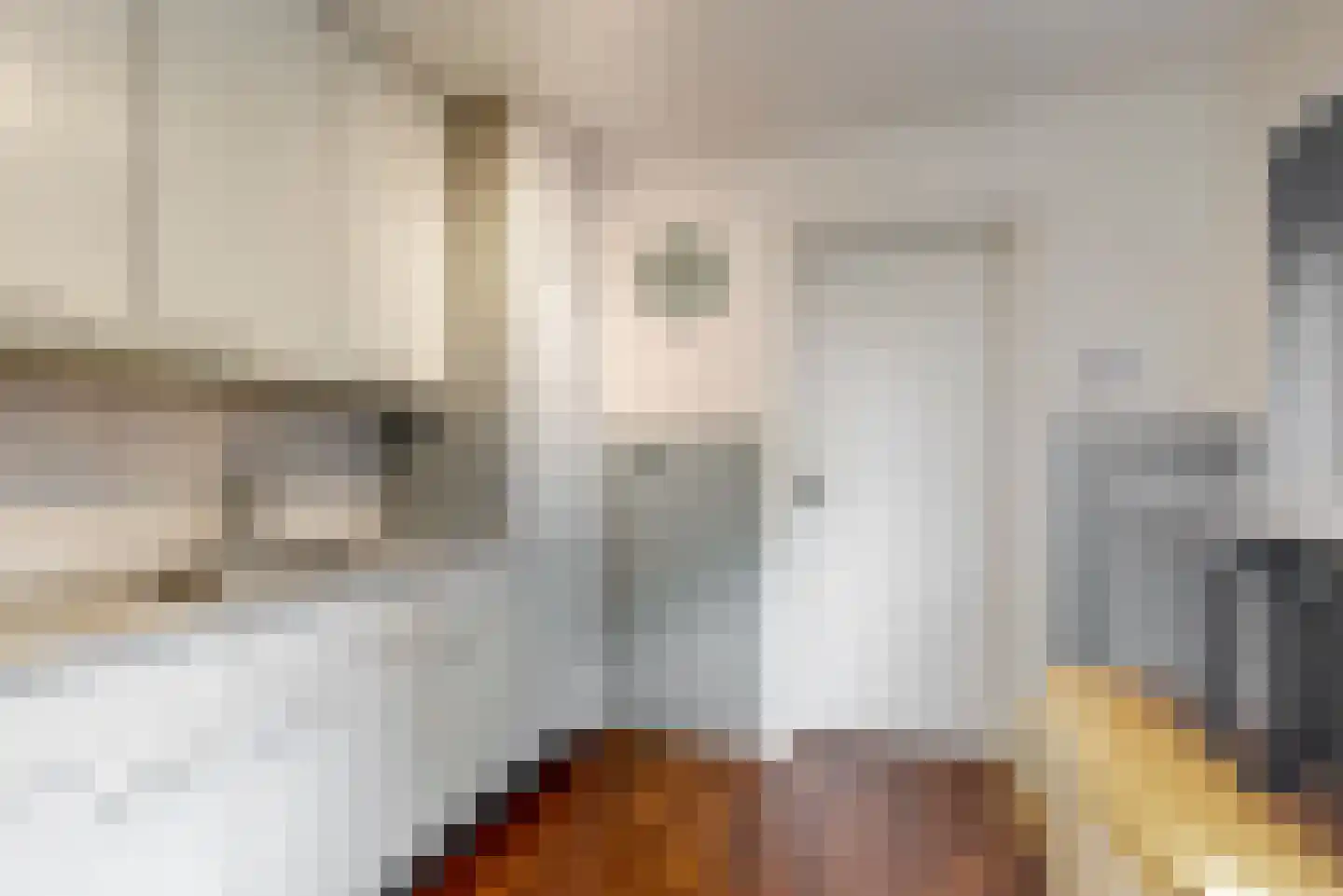 Broekhin Noord 19 Roermond thumbnail 9