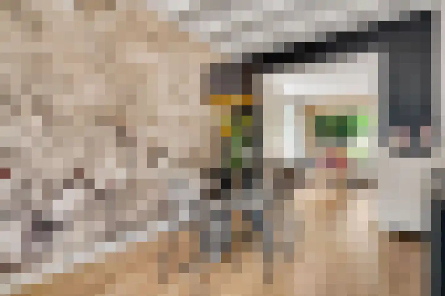 Broekhin Zuid 65 Roermond thumbnail 12