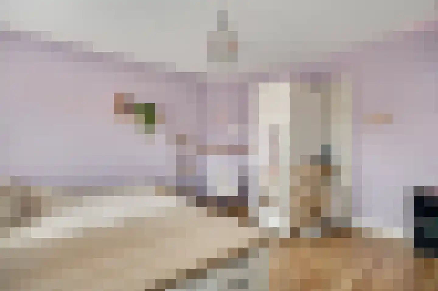 Broekhin Zuid 65 Roermond thumbnail 33