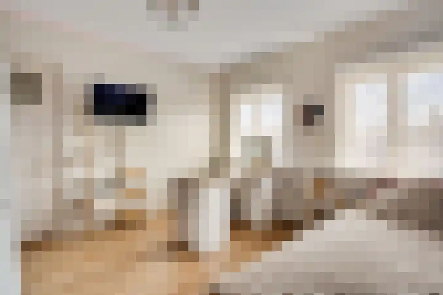 Broekhin Zuid 65 Roermond thumbnail 34