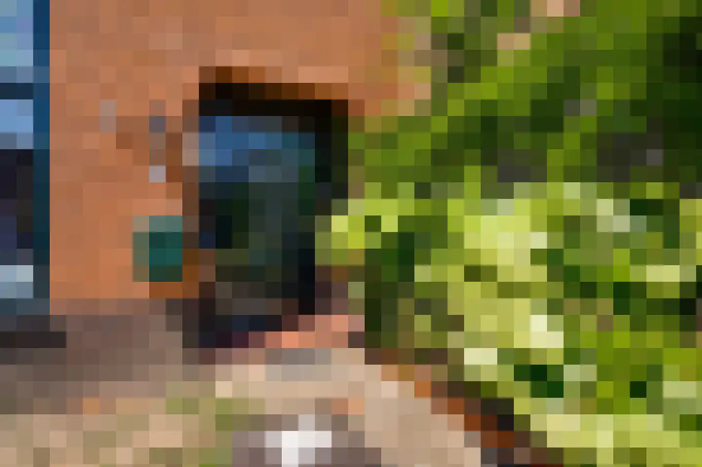 Broekhin Zuid 65 Roermond thumbnail 7