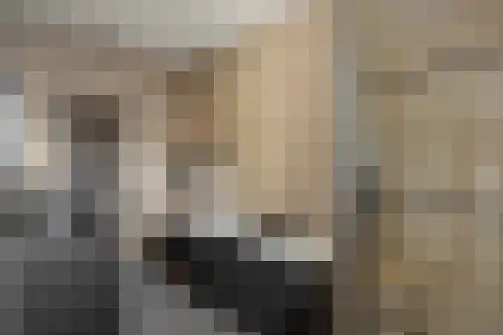 Broekhoek 16 Heesch thumbnail 22