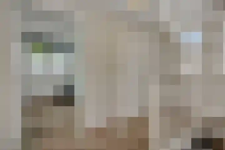 Broekhoek 16 Heesch thumbnail 31