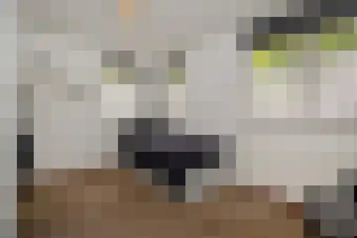 Broekhoek 16 Heesch thumbnail 32