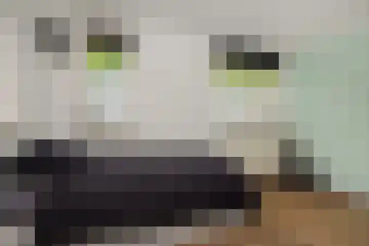 Broekhoek 16 Heesch thumbnail 33