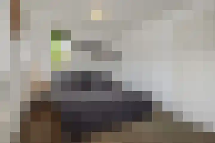 Broekhoek 16 Heesch thumbnail 34