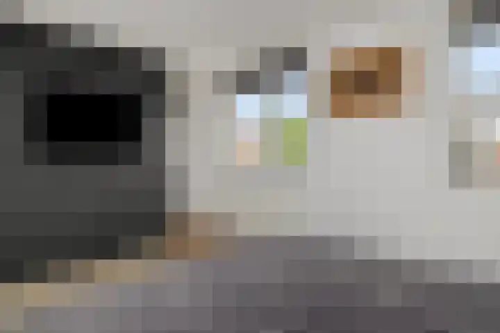 Broekhoek 16 Heesch thumbnail 35