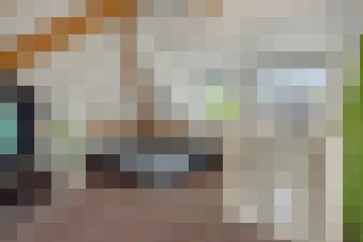 Broekhoek 16 Heesch thumbnail 41