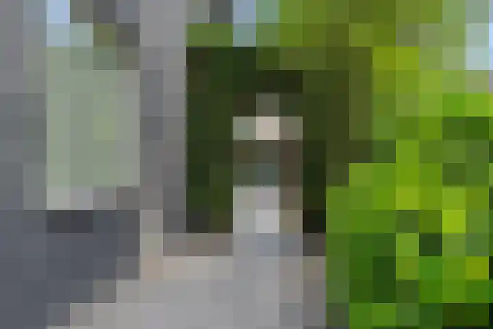 Broekhoek 16 Heesch thumbnail 50