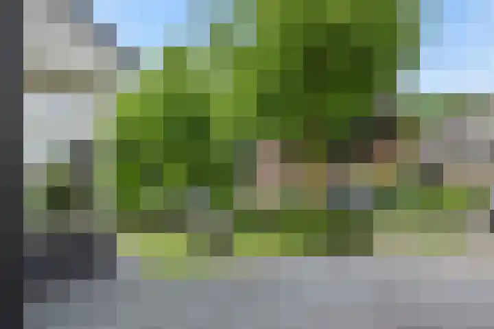 Broekhoek 16 Heesch thumbnail 51