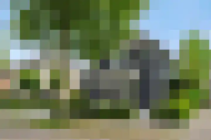 Broekhoek 16 Heesch thumbnail 55