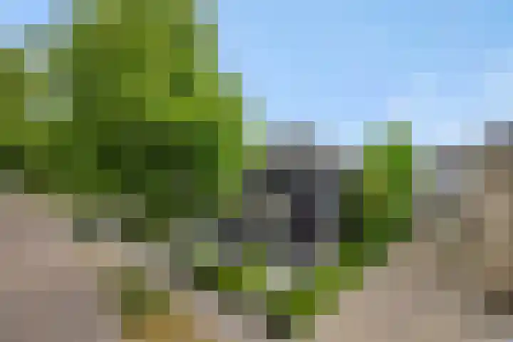 Broekhoek 16 Heesch thumbnail 56