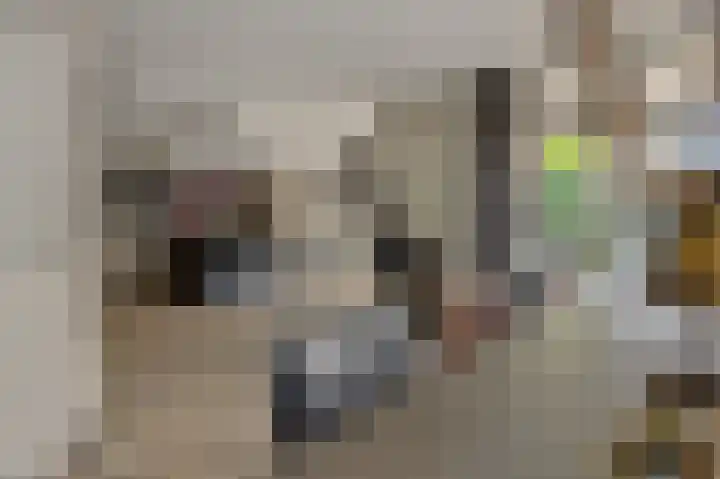 Broekhoek 16 Heesch thumbnail 6