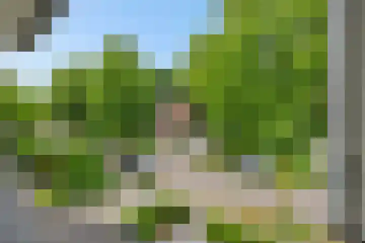 Broekhoek 16 Heesch thumbnail 60