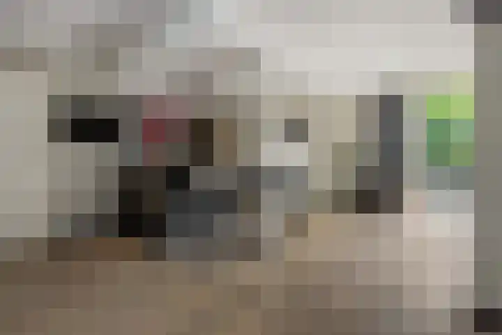Broekhoek 16 Heesch thumbnail 7