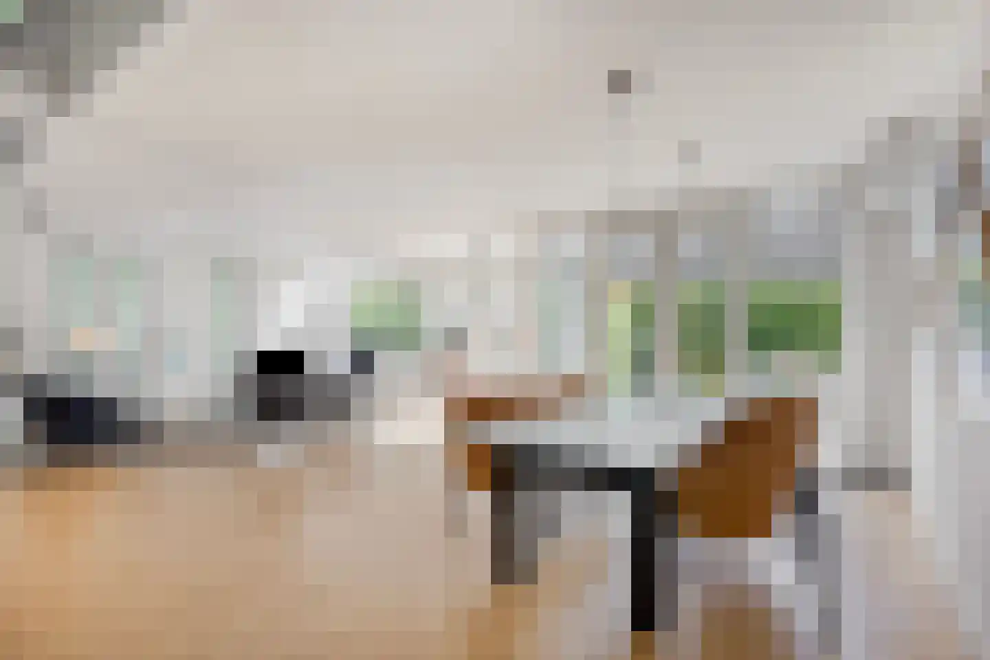 Broekhoek 23 Heesch thumbnail 12