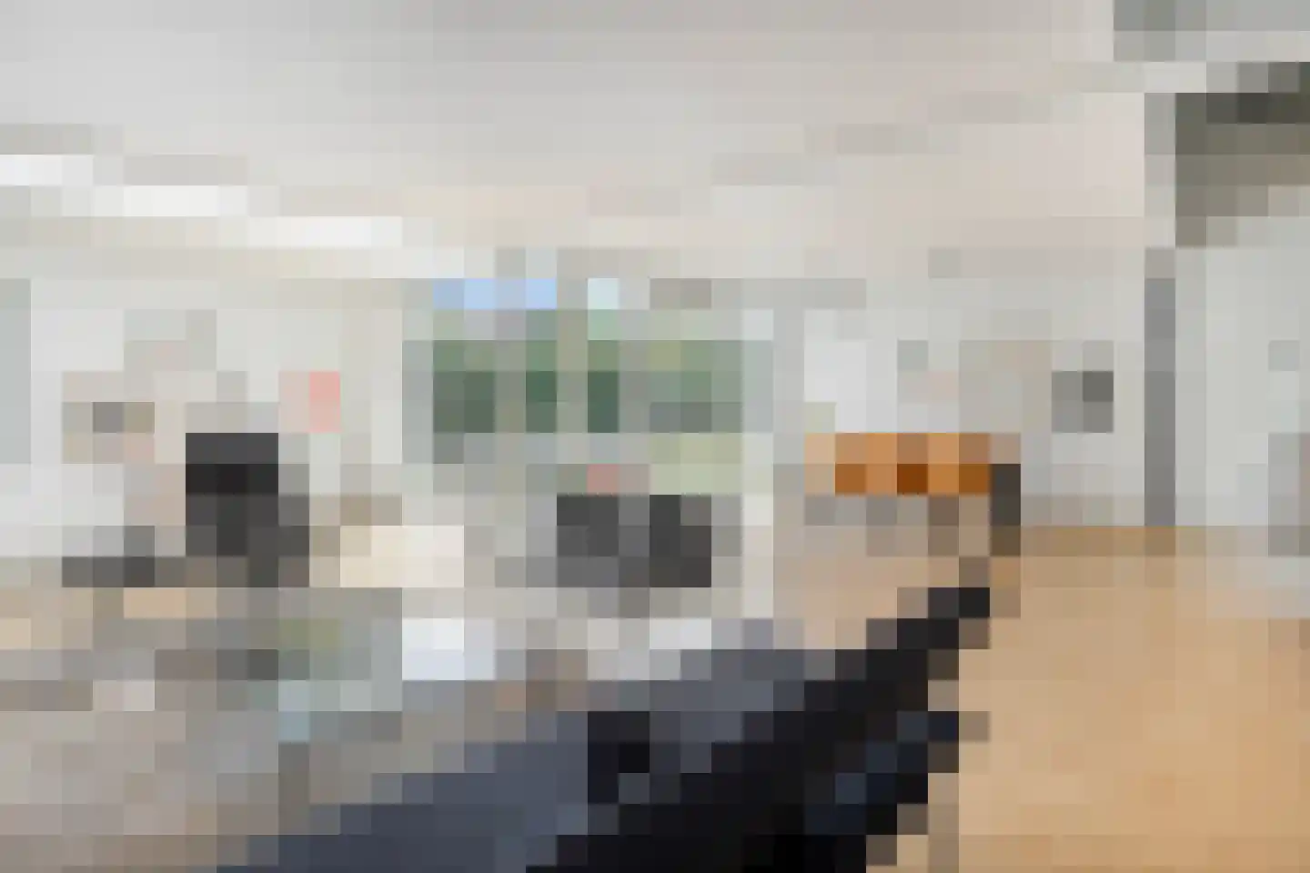 Broekhoek 23 Heesch thumbnail 15