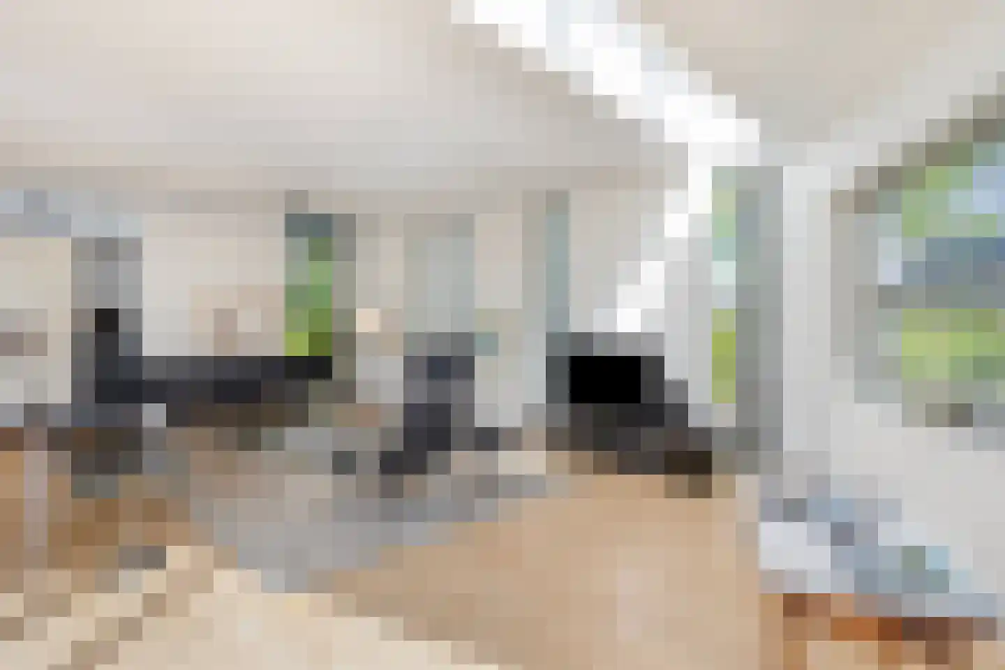 Broekhoek 23 Heesch thumbnail 16