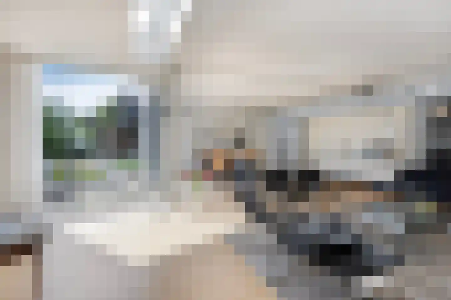 Broekhoek 23 Heesch thumbnail 17