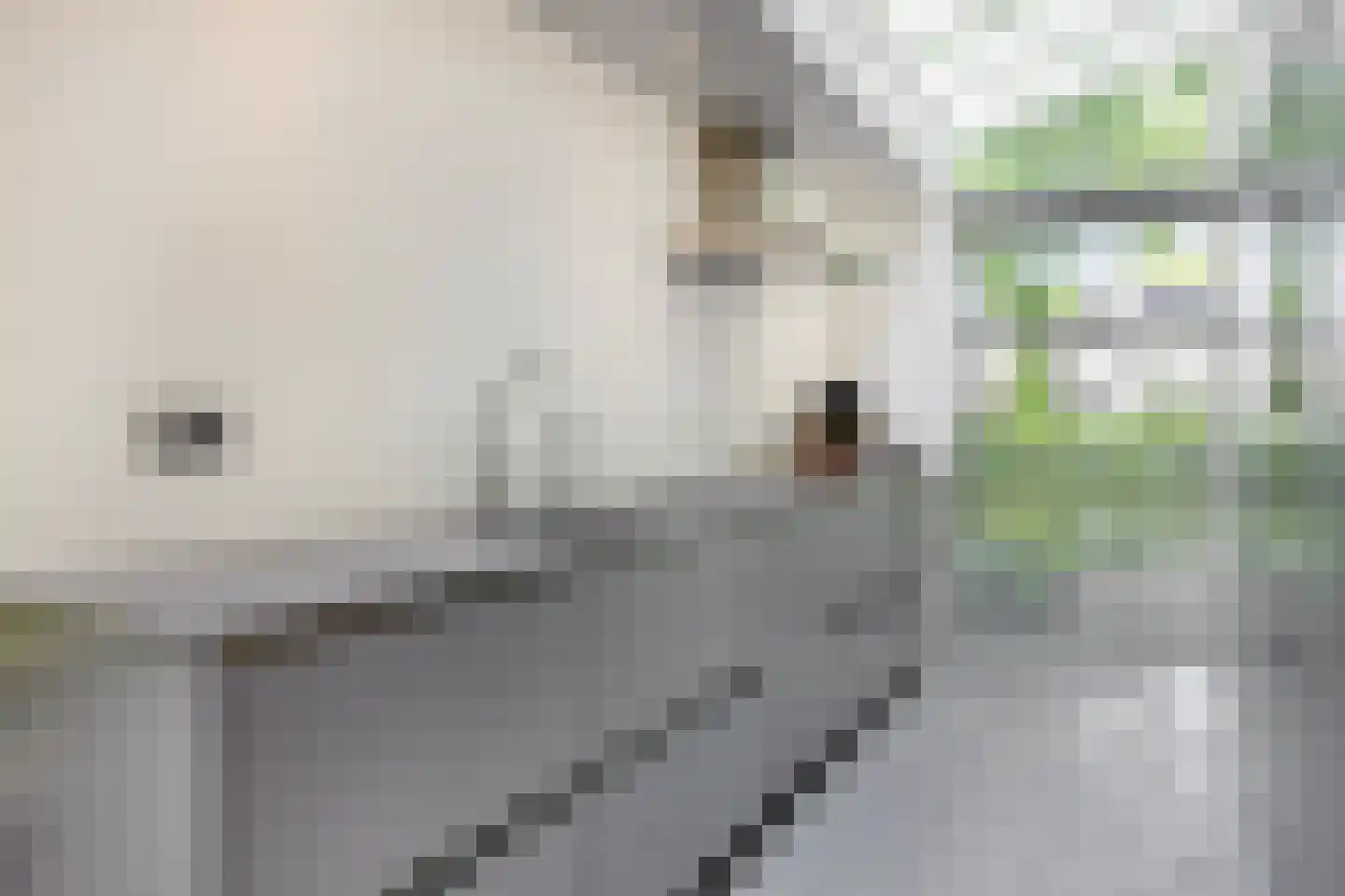 Broekhoek 23 Heesch thumbnail 19
