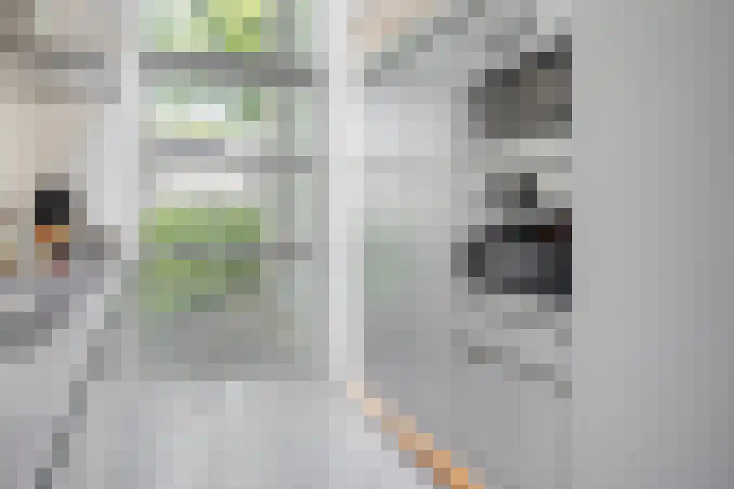 Broekhoek 23 Heesch thumbnail 20