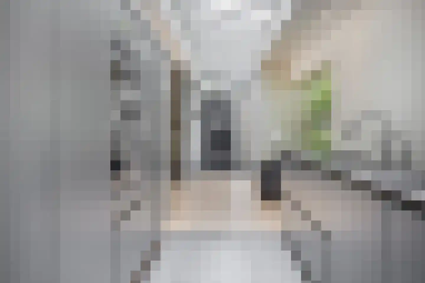 Broekhoek 23 Heesch thumbnail 21