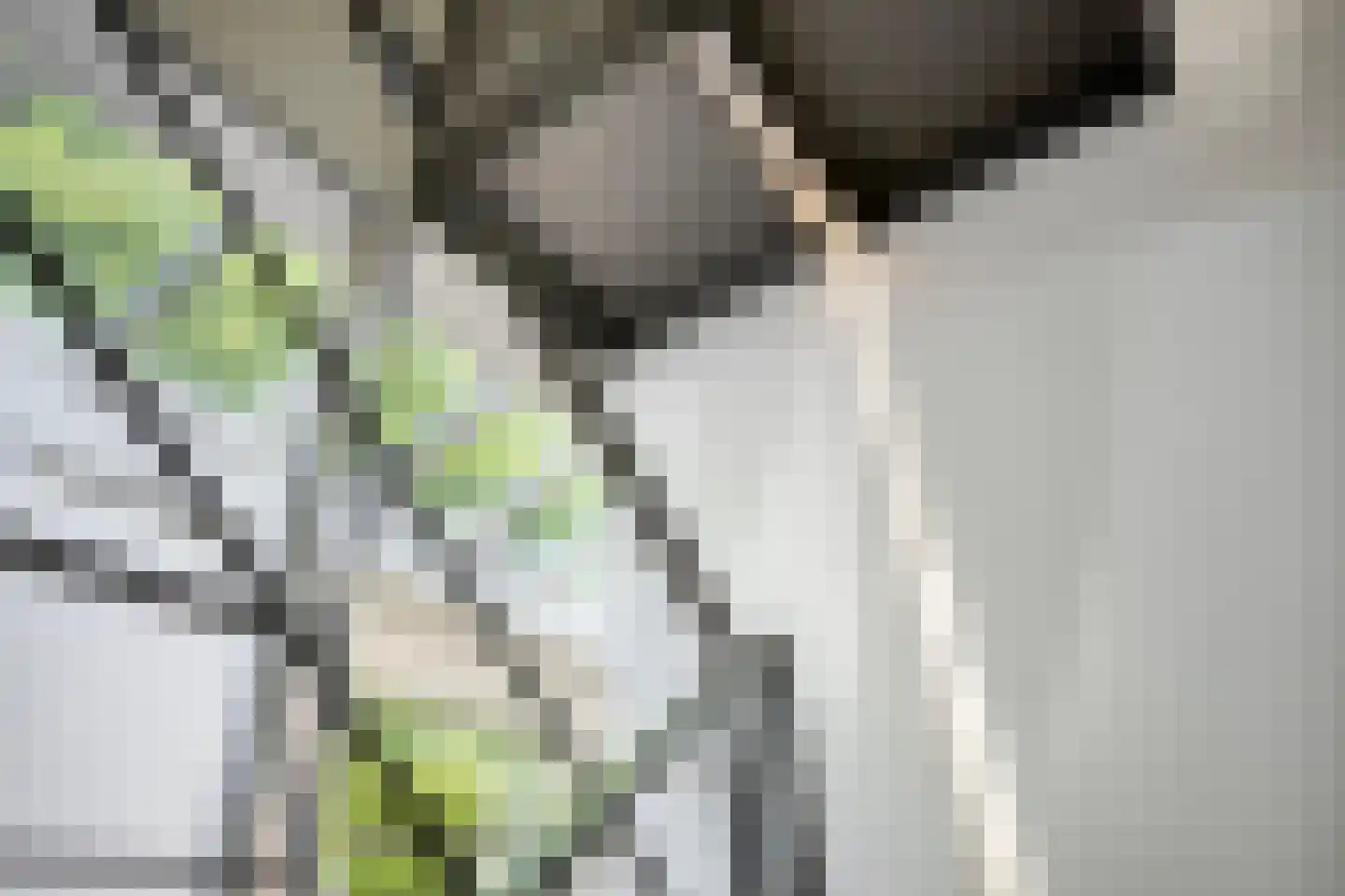 Broekhoek 23 Heesch thumbnail 29