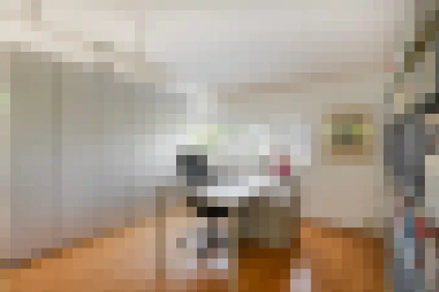 Broekhoek 23 Heesch thumbnail 37