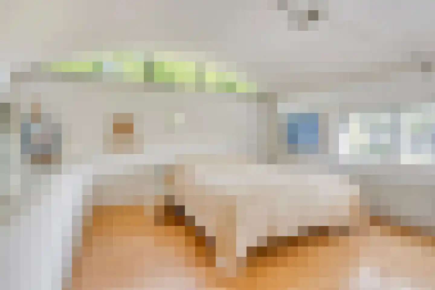 Broekhoek 23 Heesch thumbnail 39