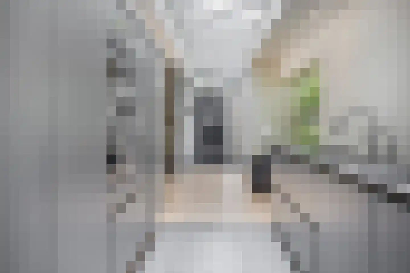 Broekhoek 23 Heesch thumbnail 4