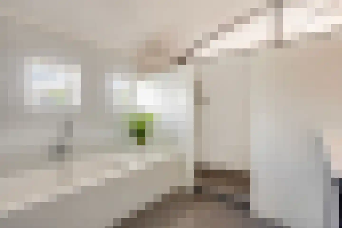 Broekhoek 23 Heesch thumbnail 42