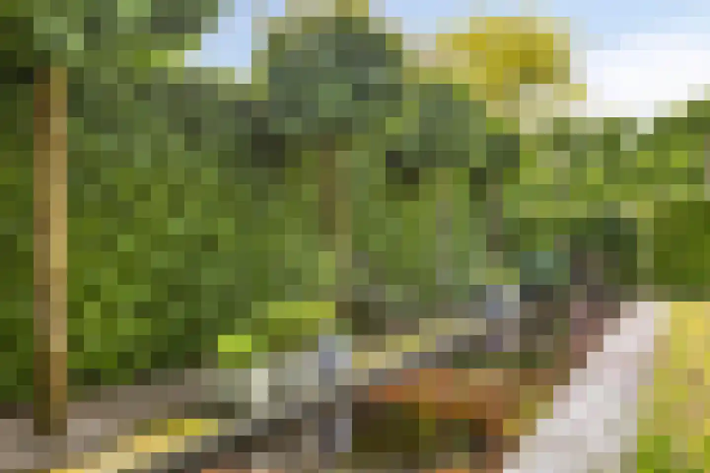 Broekhoek 23 Heesch thumbnail 53
