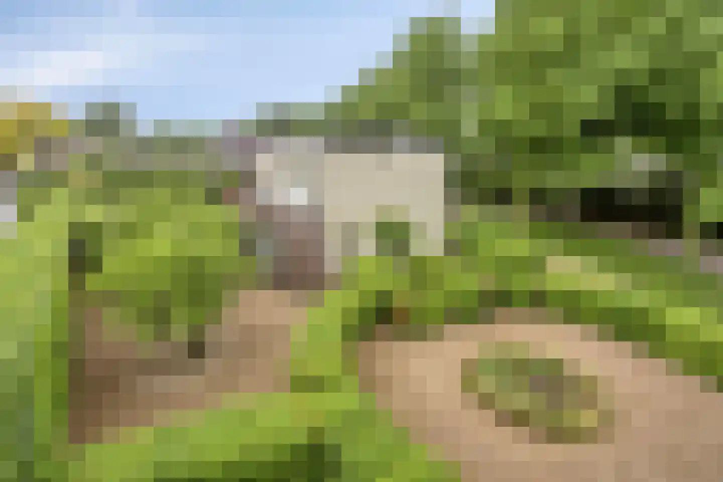Broekhoek 23 Heesch thumbnail 59