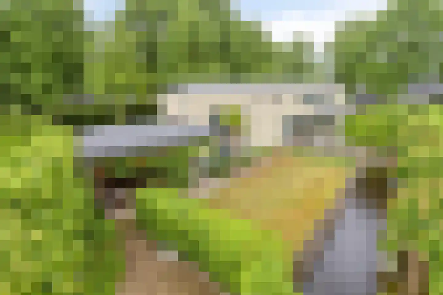 Broekhoek 23 Heesch thumbnail 6