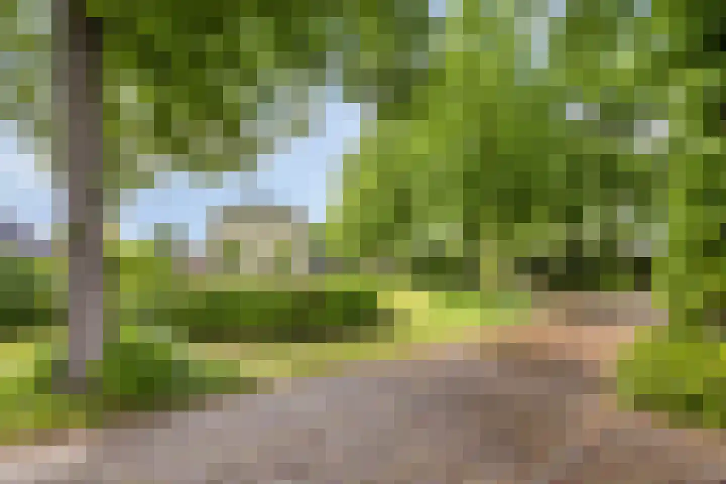 Broekhoek 23 Heesch thumbnail 60