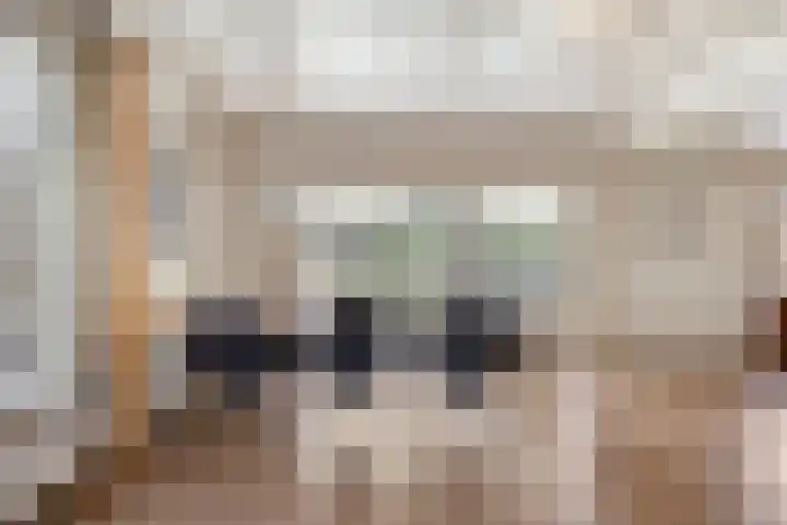 Broekhoek 24 Heesch thumbnail 10