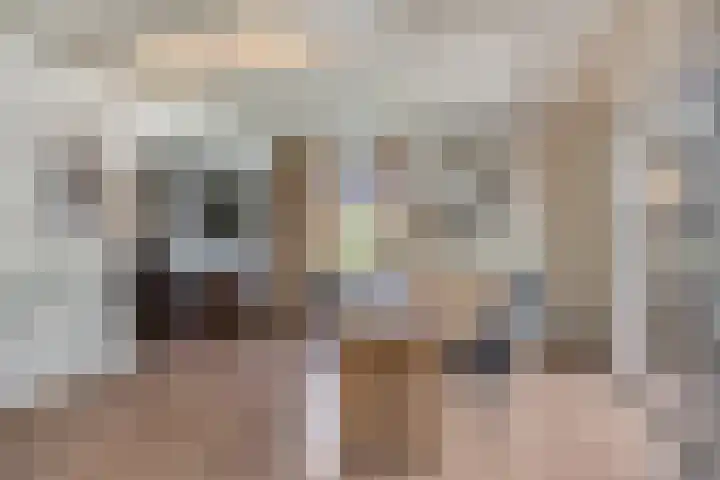 Broekhoek 24 Heesch thumbnail 11