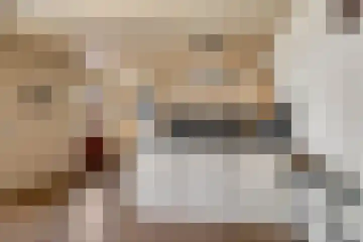 Broekhoek 24 Heesch thumbnail 12