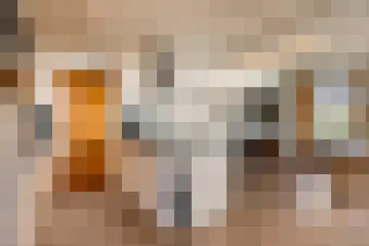 Broekhoek 24 Heesch thumbnail 14