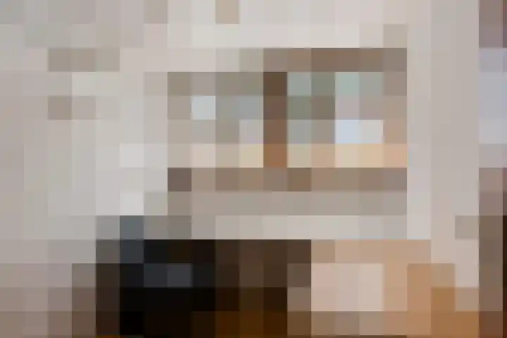 Broekhoek 24 Heesch thumbnail 27