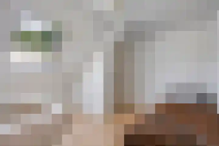 Broekhoek 24 Heesch thumbnail 29