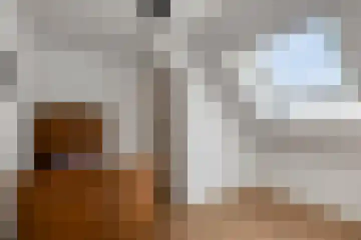 Broekhoek 24 Heesch thumbnail 30